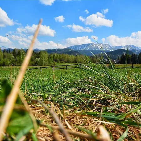 Apartament Giewont Apartment Zakopane