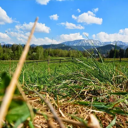 Apartament Giewont Apartamento Zakopane